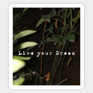 Live your Dream Sticker